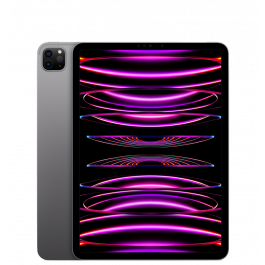 iPad Pro 4 11" 2TB WiFi