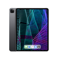 iPad Pro 3 11" 1TB WiFi