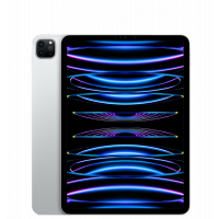iPad Pro 4 11" 2TB WiFi + Cellular